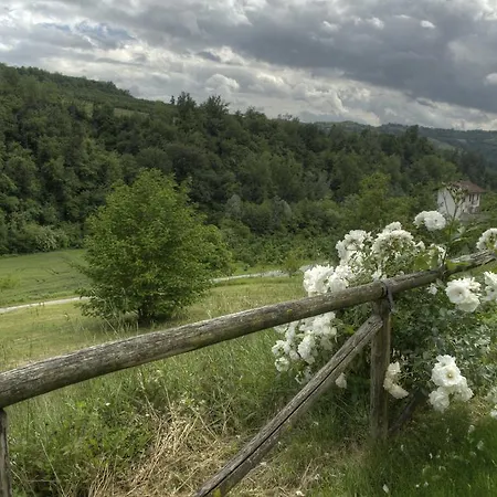 Il Sole Delle Rive