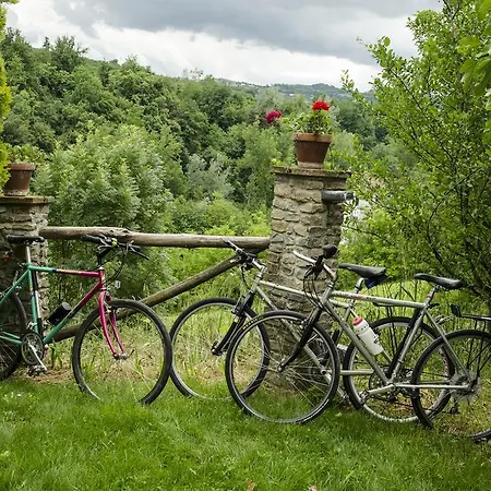 Bed and Breakfast Il Sole Delle Rive