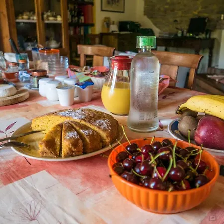 Il Sole Delle Rive Sinio